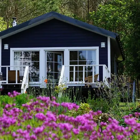 Miedzy Lasem A Woda Nowe Worowo