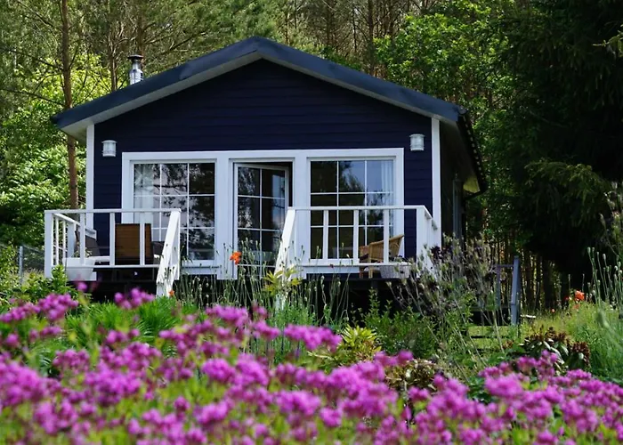 Miedzy Lasem A Woda Nowe Worowo